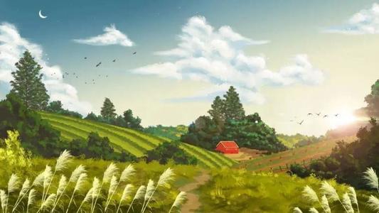 杏耀平台导航,杏耀开发