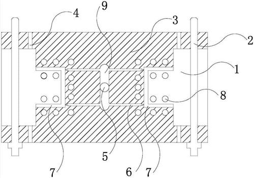 杏耀可信吗,杏耀信誉吗