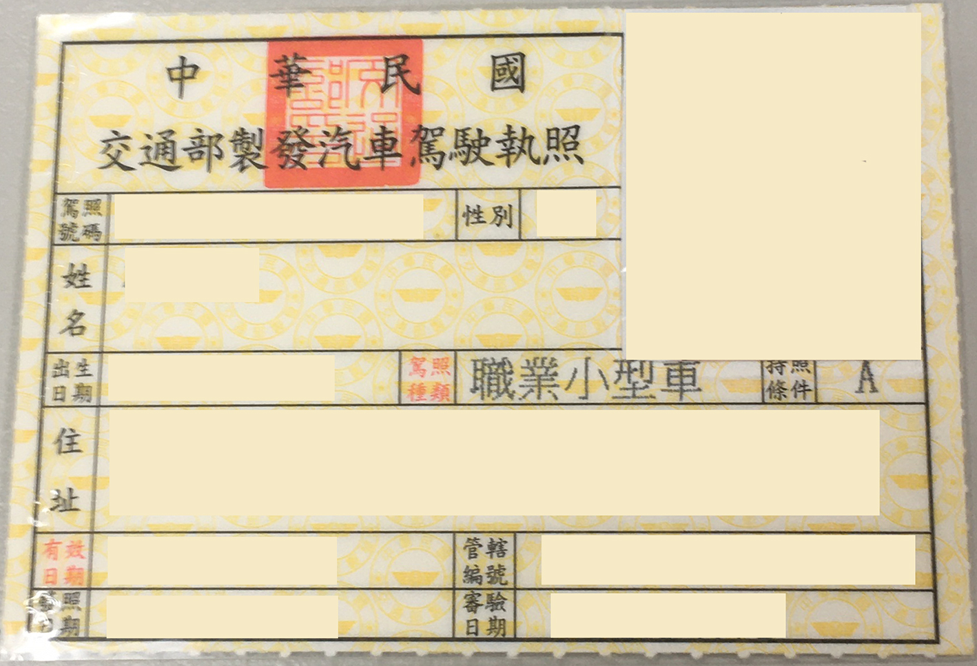 杏耀测速网址,杏耀能赚多少钱