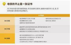杏耀代理收益,杏耀娱乐软件