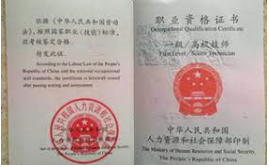 杏耀代理收益,杏耀娱乐软件
